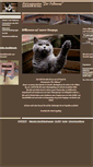 Mobile Screenshot of katzenpension-zur-feldmaus.de